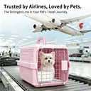 RIZZARI Small Travel Ventilated Hard-Sided Pet Carrier with Food Bowl, Pink, 10 lb Limit